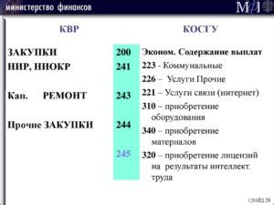 Общее понимание КОСГУ 266