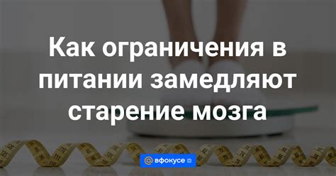 Ограничения в питании и добавках: что нельзя давать шарпею?