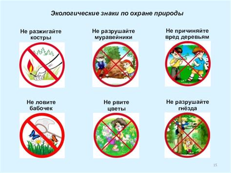 Ограничения для приватизации территории во дворе: важность определения экологических и инфраструктурных факторов