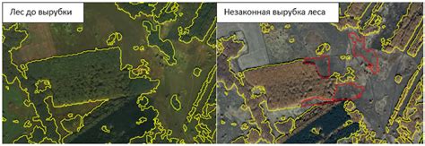 Ожидаемые экономические результаты от отчуждения государственного лесного фонда