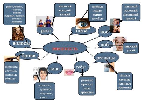 Описание внешности и стиля