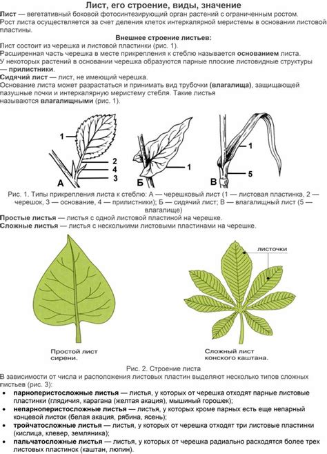 Описание листа 3 и его структура