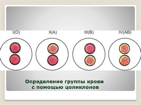 Определение группы крови по ДНК