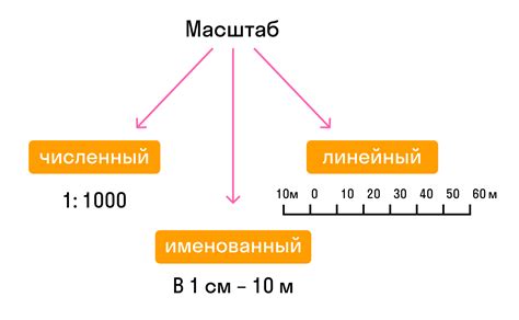 Определение масштаба в науках