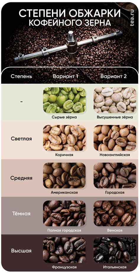 Определение наилучшего типа и степени обжарки кофейных зерен для оптимальной настройки кофемашины
