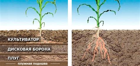 Определение необходимого уровня рыхления почвы