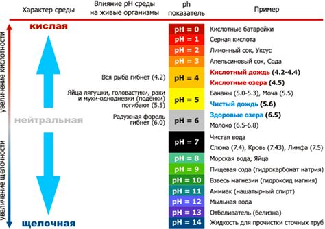 Определение нормы кислотности