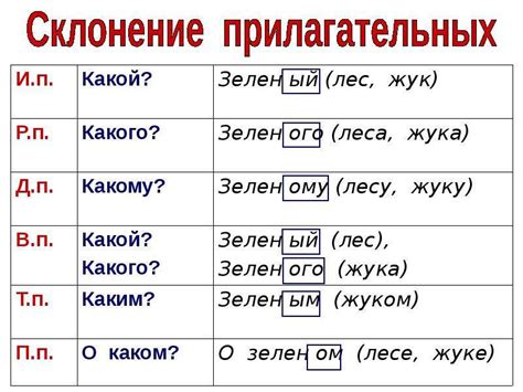 Определение падежа в зависимости от принадлежности прилагательного к определенной грамматической категории