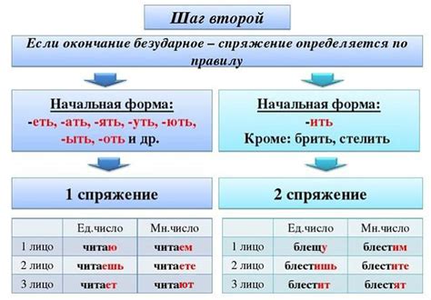 Определение спряжения глагола: пошаговая инструкция