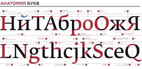 Определение текущего шрифта