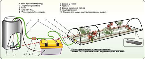 Оптимальные методы орошения шиповника в зависимости от условий