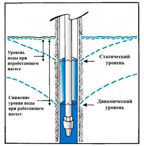 Оптимальный уровень воды: как его определить?