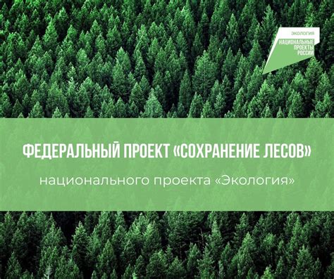 Опыт других стран в продаже своих национальных лесов: уроки для России