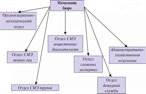 Организационная структура учреждения судебно-медицинской экспертизы