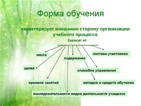 Организация процесса