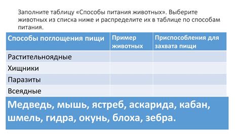 Органы, отвечающие за переработку пищи у пернатых существ