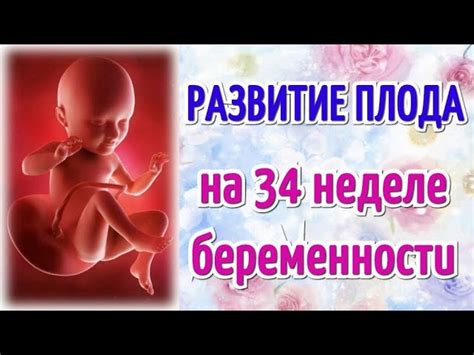 Ориентация плода на 34-й неделе беременности: что считается нормальным?