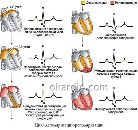 Осложнения нарушения реполяризации миокарда