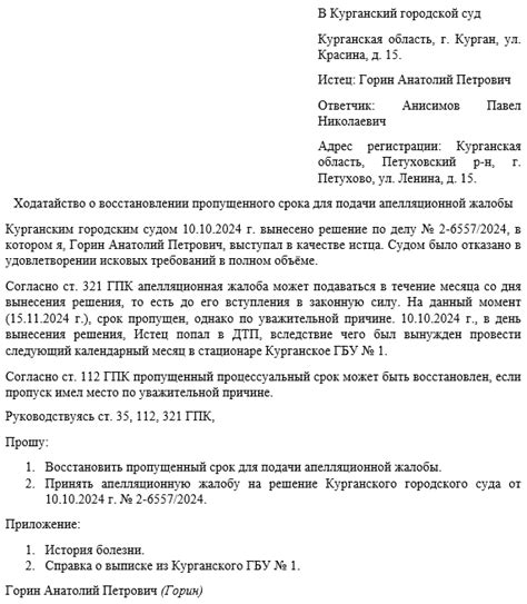 Основания для рассмотрения ходатайства в апелляционной сфере: подача, рассмотрение и принятие решения