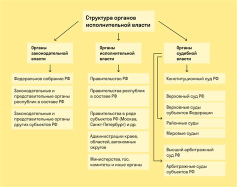 Основные Органы и Их Роль