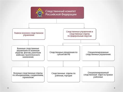 Основные подразделения Следственного комитета России: структура и функции