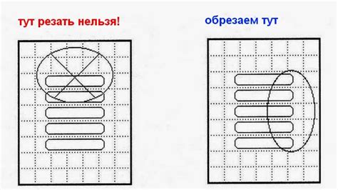 Основные правила обрезки