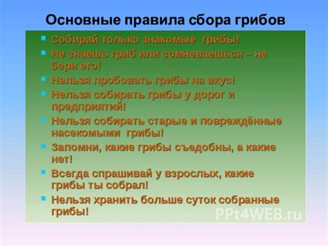 Основные правила сбора