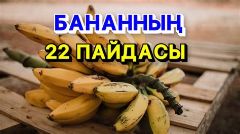 Основные преимущества бананов в рационе безмолочной диеты