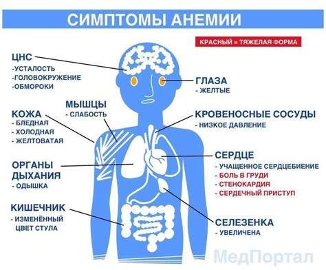 Основные признаки анемии у детей