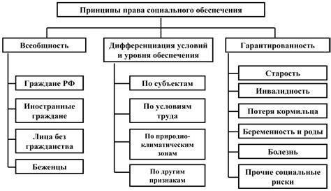 Основные принципы и инструменты обеспечения социальной поддержки в юго-западном административном округе