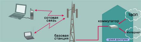 Основные требования для подключения безграничного доступа в сеть сотового оператора в Беларуси