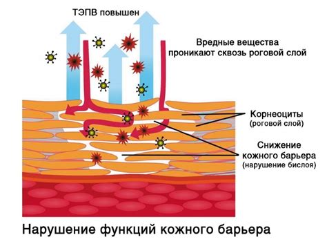 Основные факторы трещин и сухости кожи в условиях низких температур