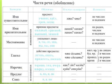 Основные части речи в русском языке