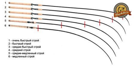 Особенности различных типов удочек