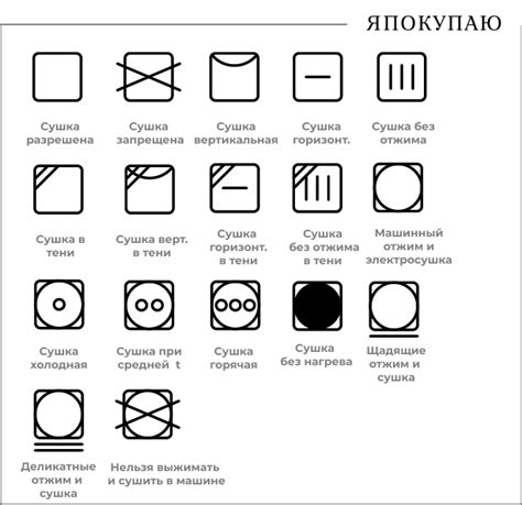 Особенности стирки на Троицу