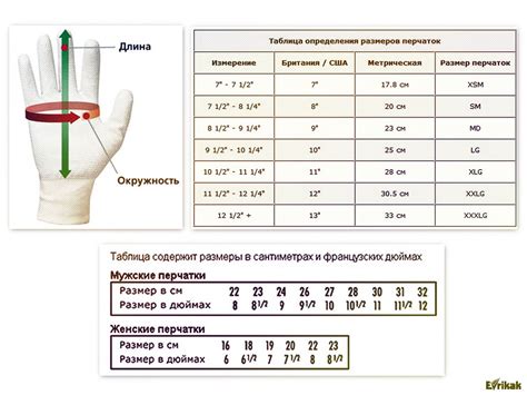 Особенности формы и размера ладони