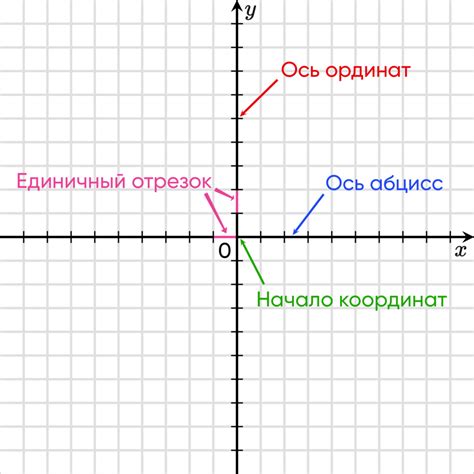 Ось проекций в графике: важность и определение