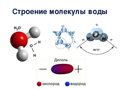 Открытая структура воды