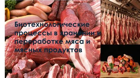 Отличия в хранении парного и неторгового мяса