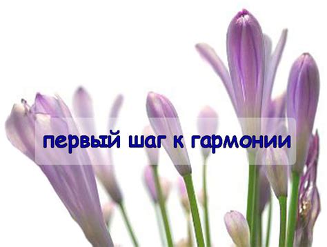 Отражение и акцептация самого себя: первый шаг к гармонии