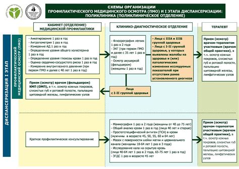 От анамнеза до оценки общего состояния: путь по этапам общего осмотра пациента в медицинской практике