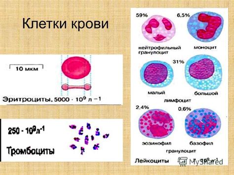 О чем говорит сон о множестве чужой крови