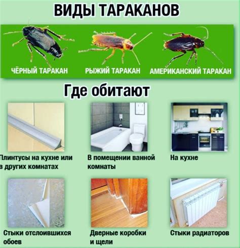 Паразиты и вредители