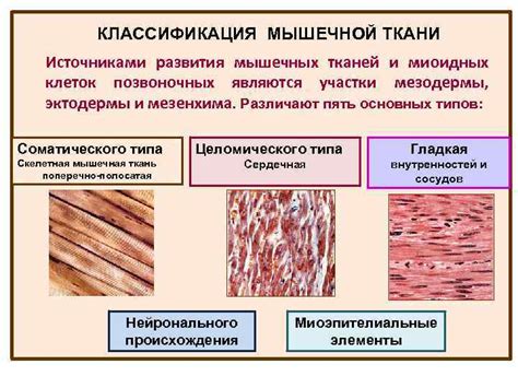 Патологии: причины разложения мышечной ткани в области ногтя