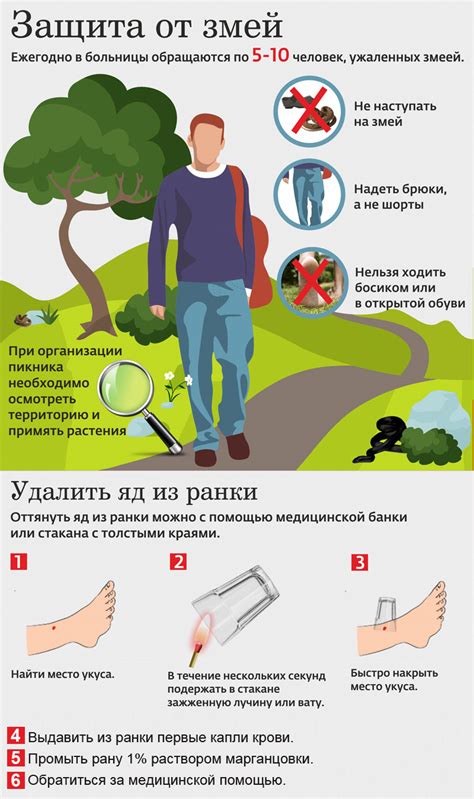 Первая помощь при укусе