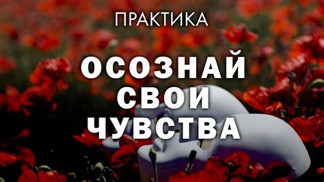 Первый шаг к пониманию собственного уникального индивидуального поцелуя