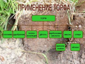 Переваги використання торфу верхового для перепліднення розсади