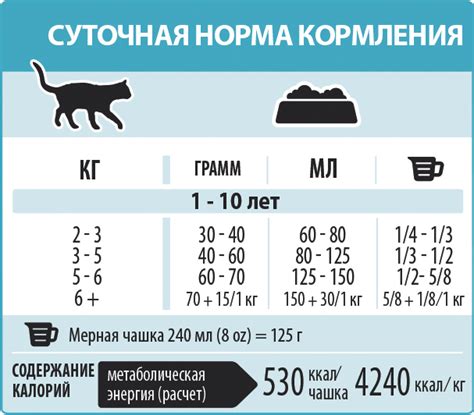 Периодичность и объем кормления крошечного грызуна