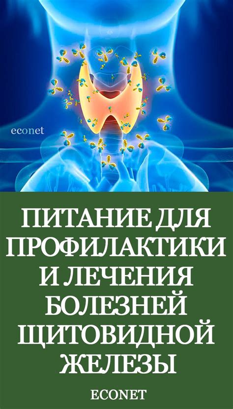 Питание и щитовидная железа: взаимосвязь и влияние