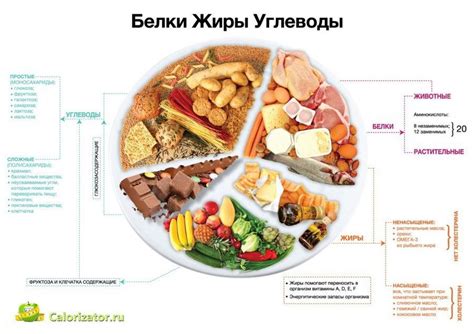 Питание спортсмена: углеводы, жиры, витамины